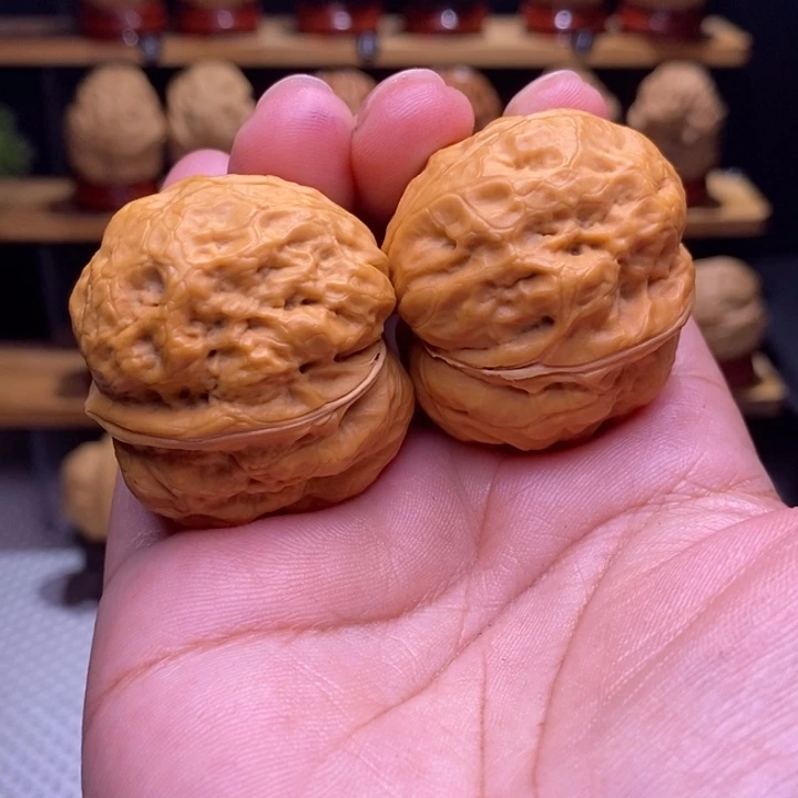 木质类云铁佛陀蟾35号