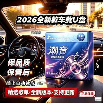 车载音乐U盘 即插即用 中文DJ 伤感情歌 合集