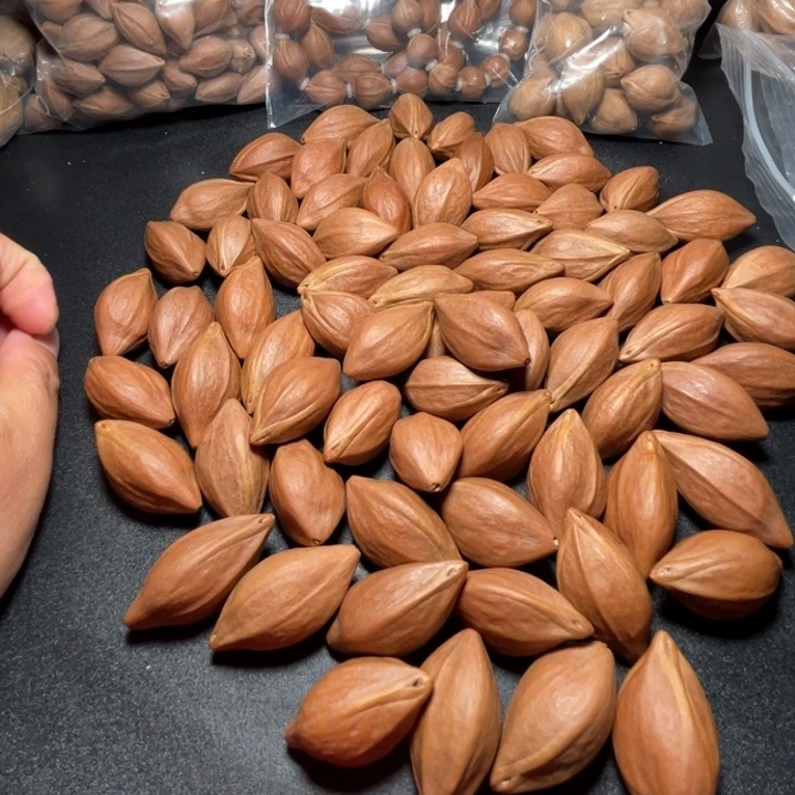 大***参猪牙手串/手链我是