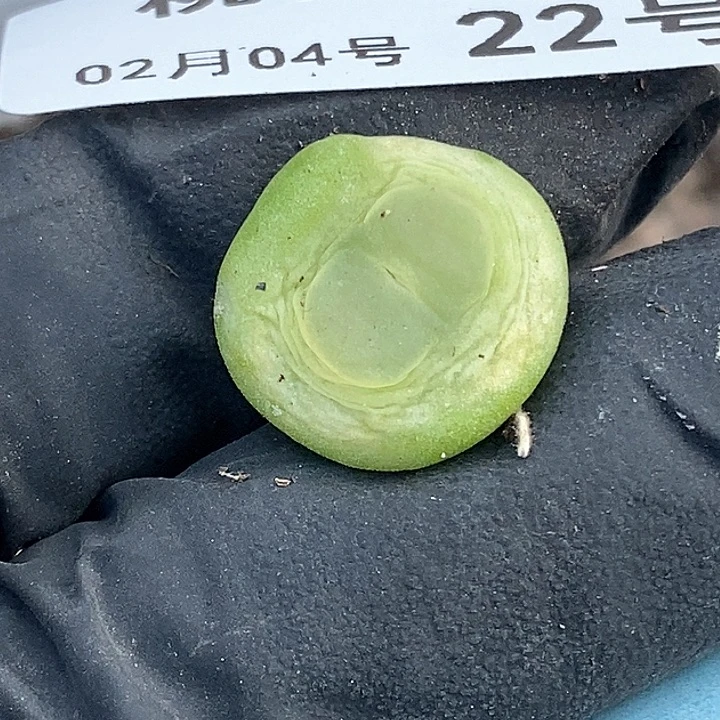 桃喜花园0204-22拉登