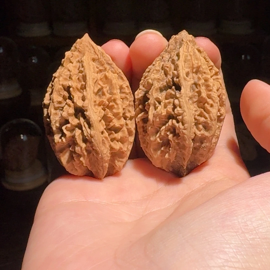 文玩核桃吊坠蚂蚁山