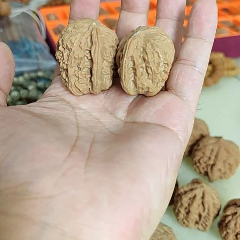 把件文玩核桃磨盘异形瑕疵一帆风顺