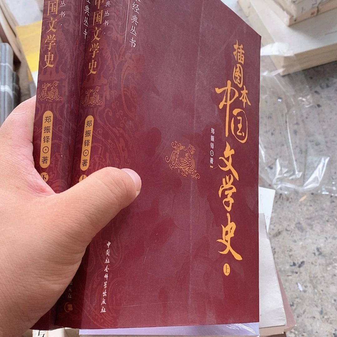 插图本中国文学史上下册