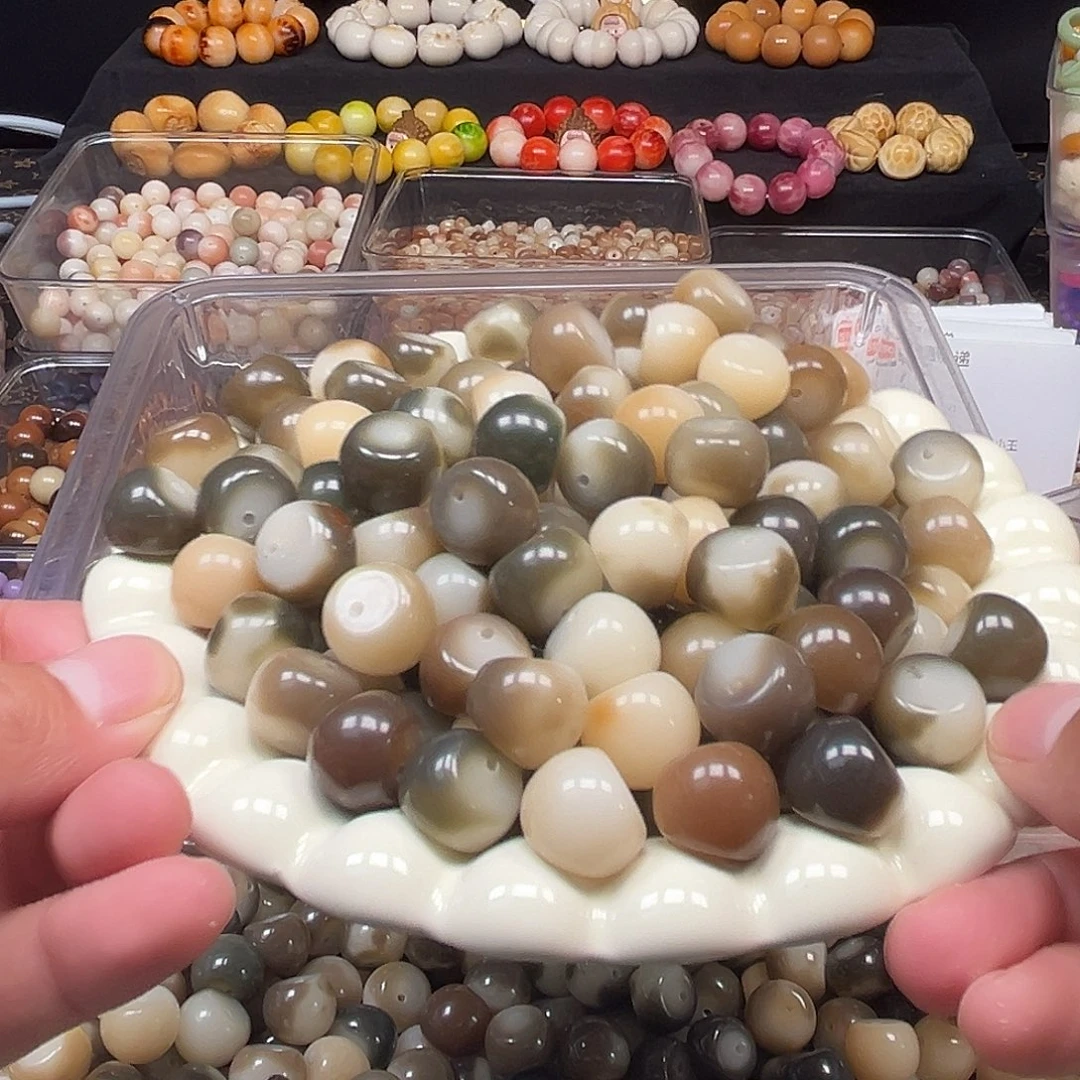 手串菩提根/象牙果100颗15尺寸奶牛色蒜瓣