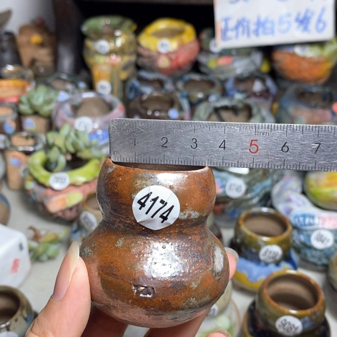 拍5送一个小礼物