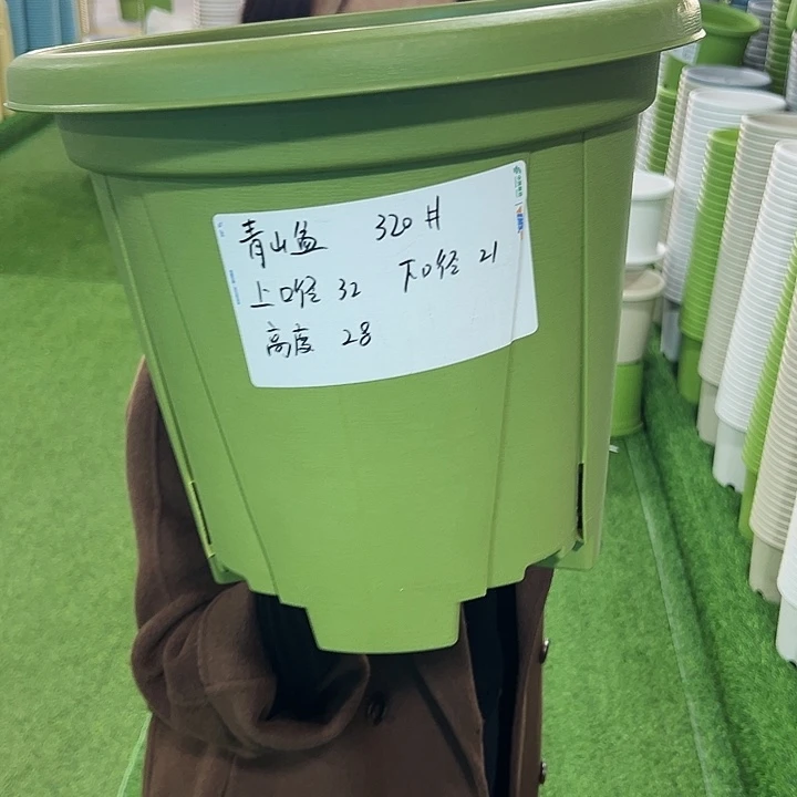 特价青山口32高28果绿无托5只