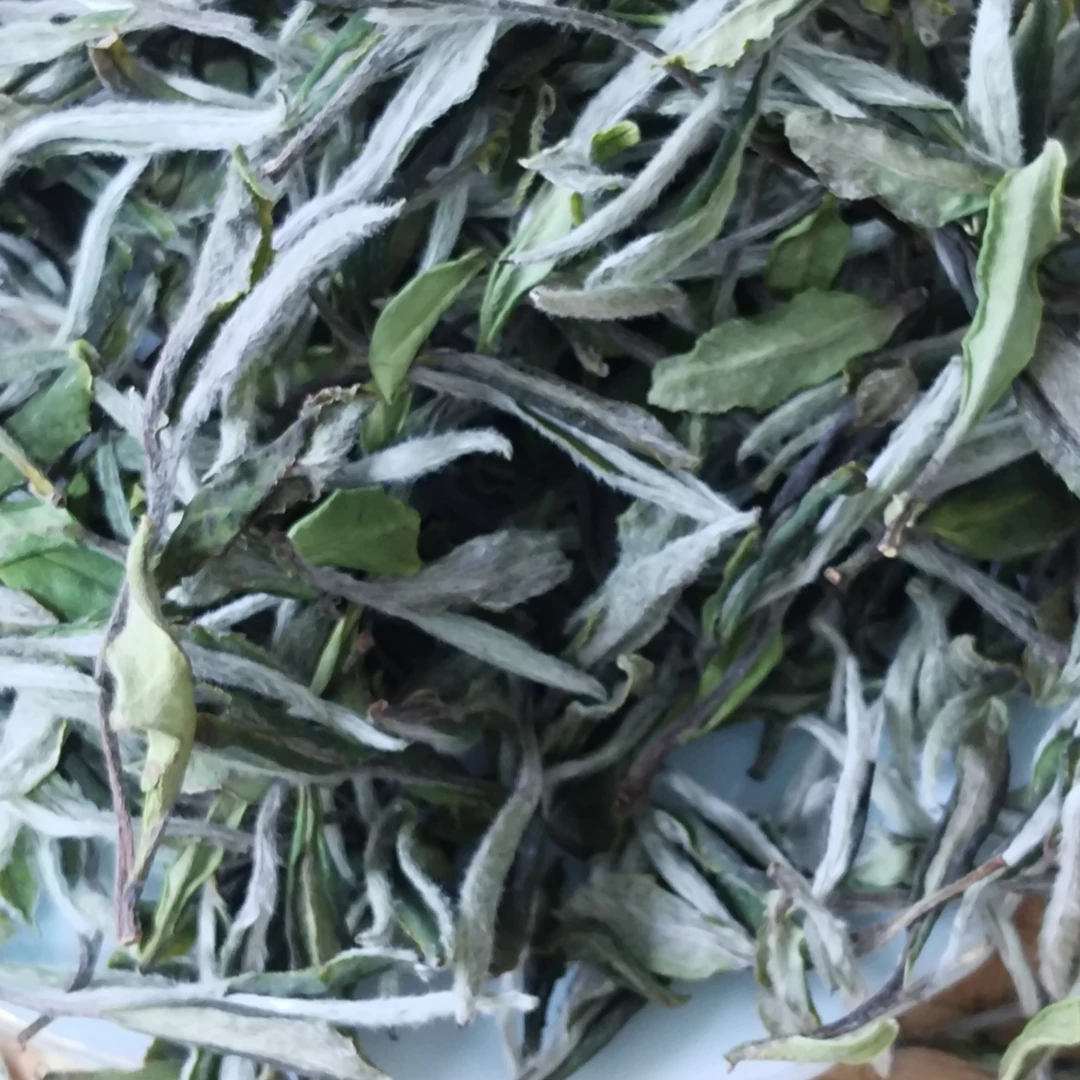 2025年福鼎一级白牡丹农厂品500克