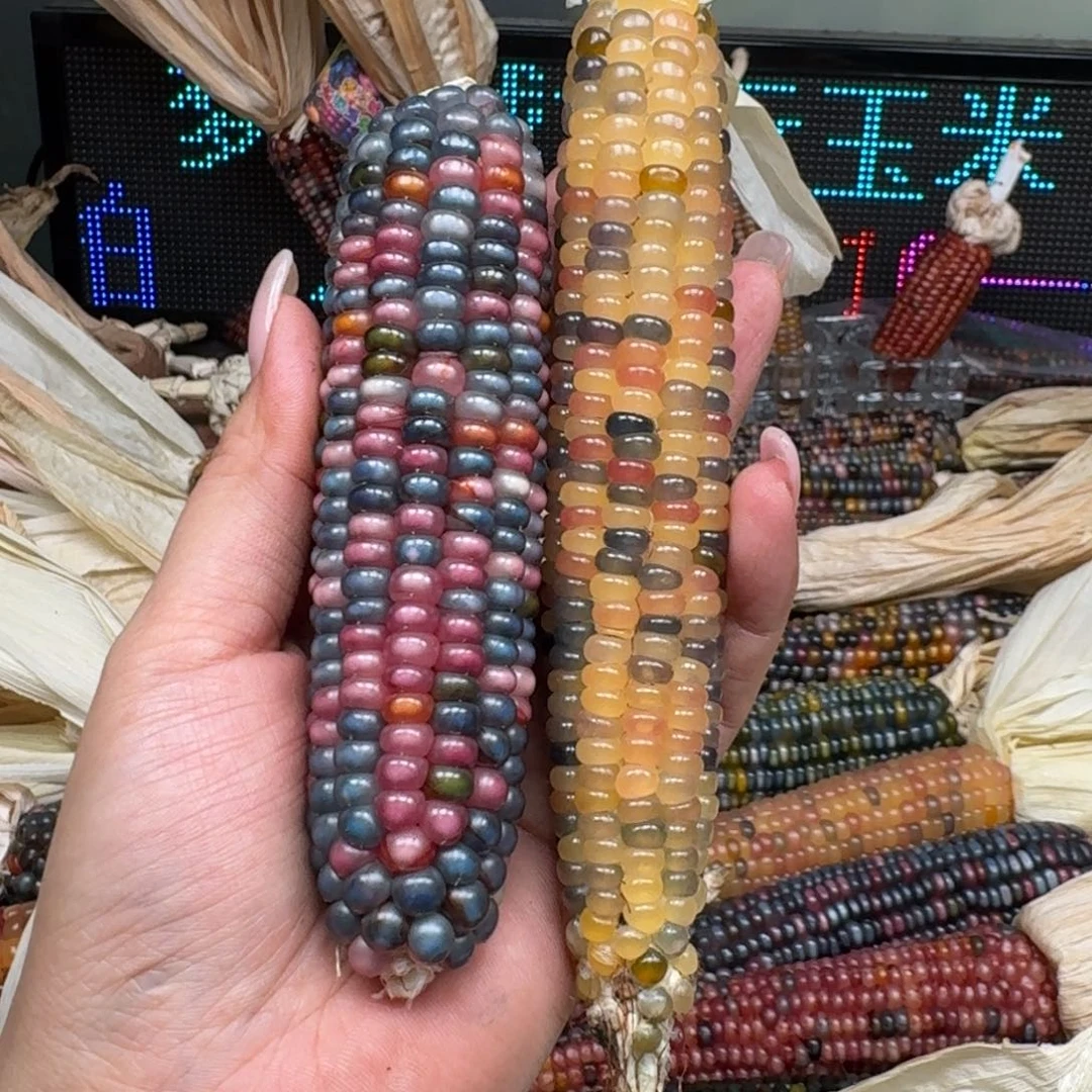 柏香籽/百香籽吊坠电****哥