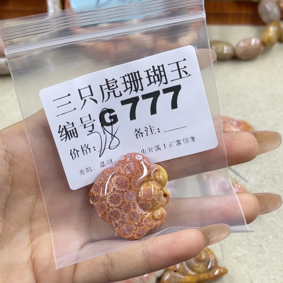 学***硅化珊瑚（珊瑚玉）未镶嵌h