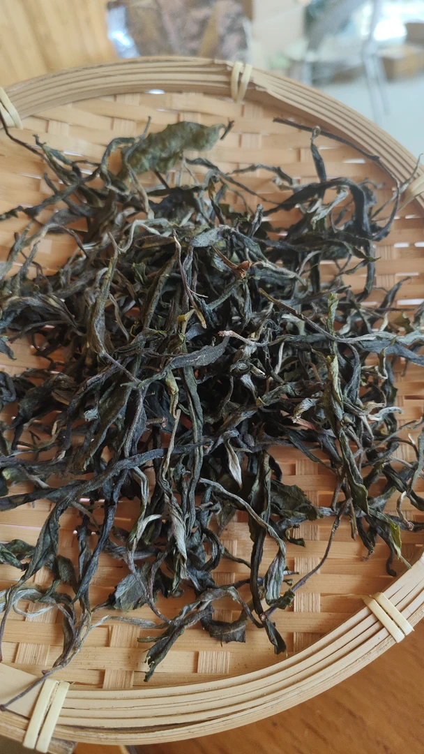 2025年曼岗老树头春纯料 500克1000克