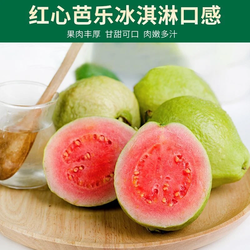 正宗广西红心奶油芭乐新鲜现摘现发当季番石榴鸡屎果正宗芭乐水果