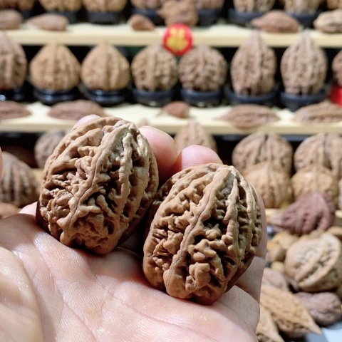 文玩核桃把件Z**n老树珊瑚纹