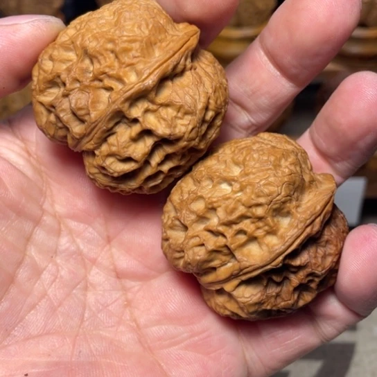 吊坠文玩核桃Y至尊元宝蟾43