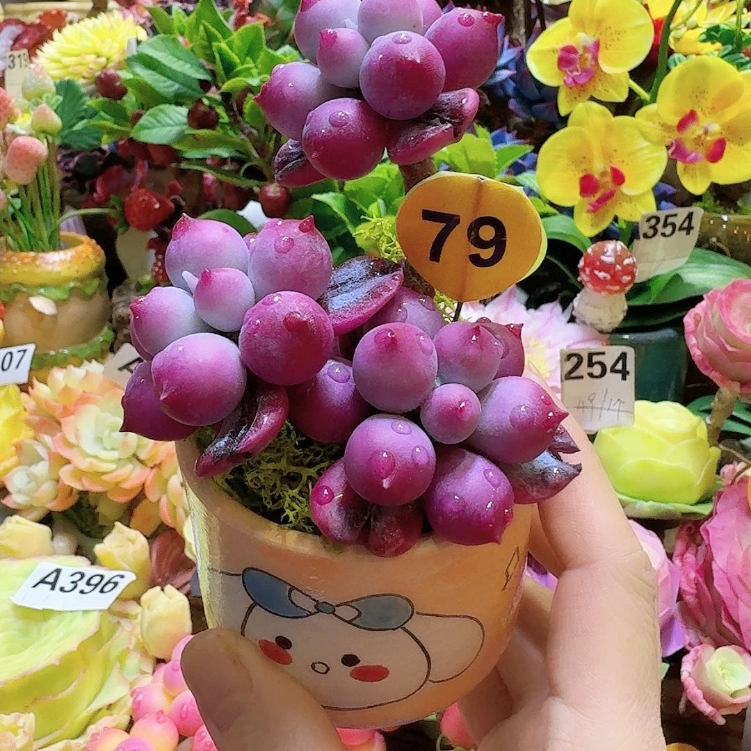 我的小可爱们都好可爱啊