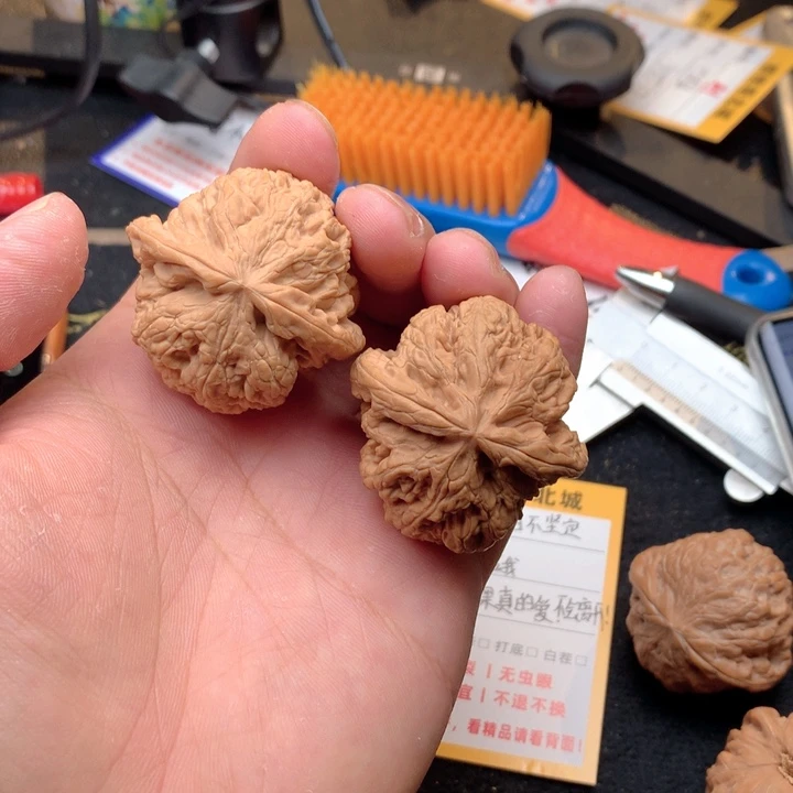 文玩核桃把件60号43大粗筋全品