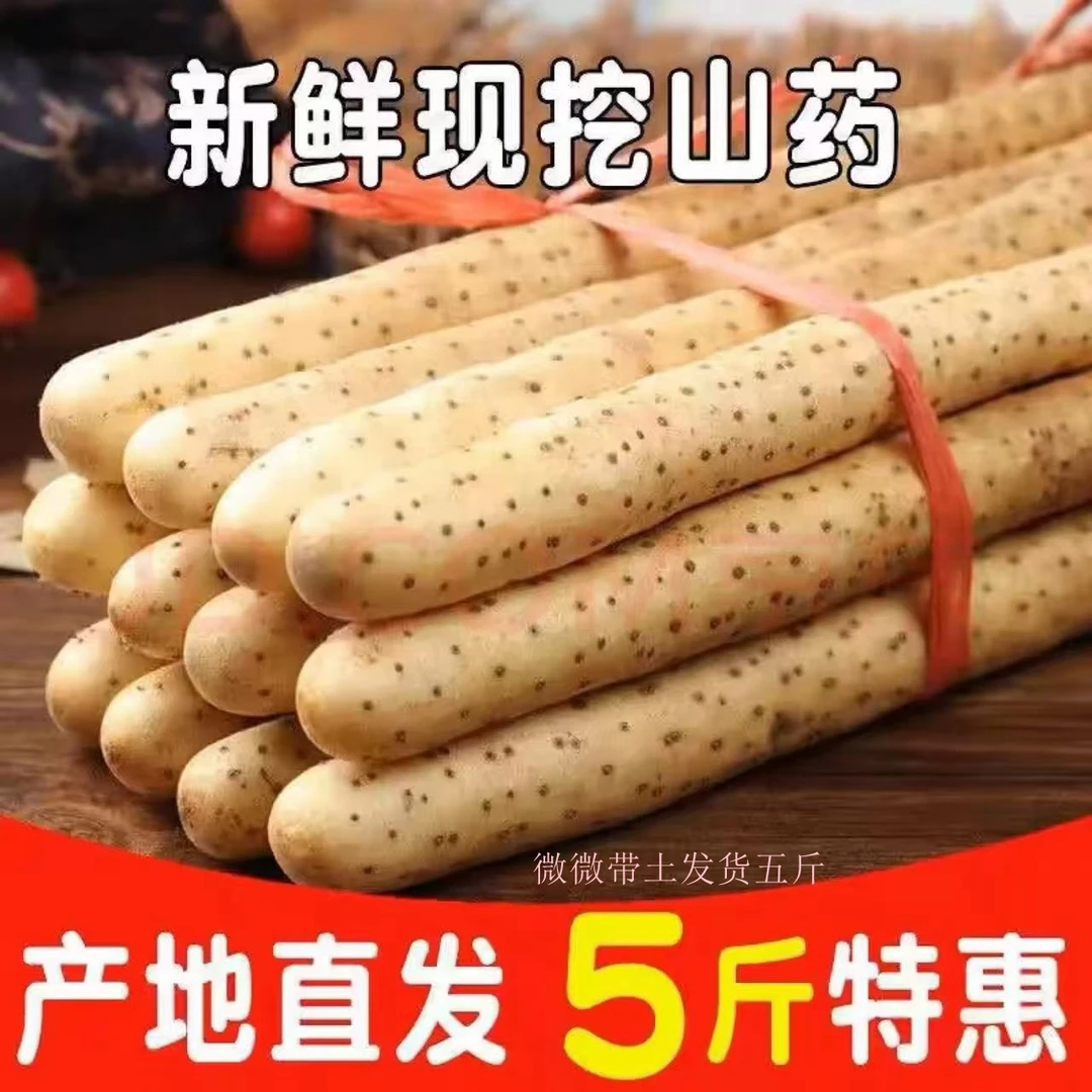 铁棍山药软糯香甜产地直发生鲜带土宝宝辅食炖汤熬粥fy