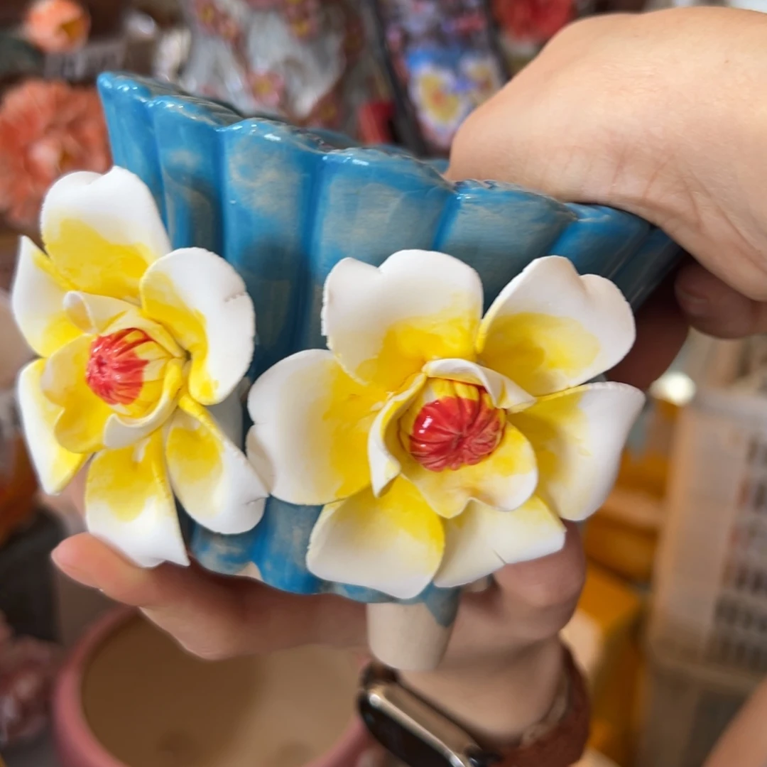 花盆，拍满20发货，退款拉黑