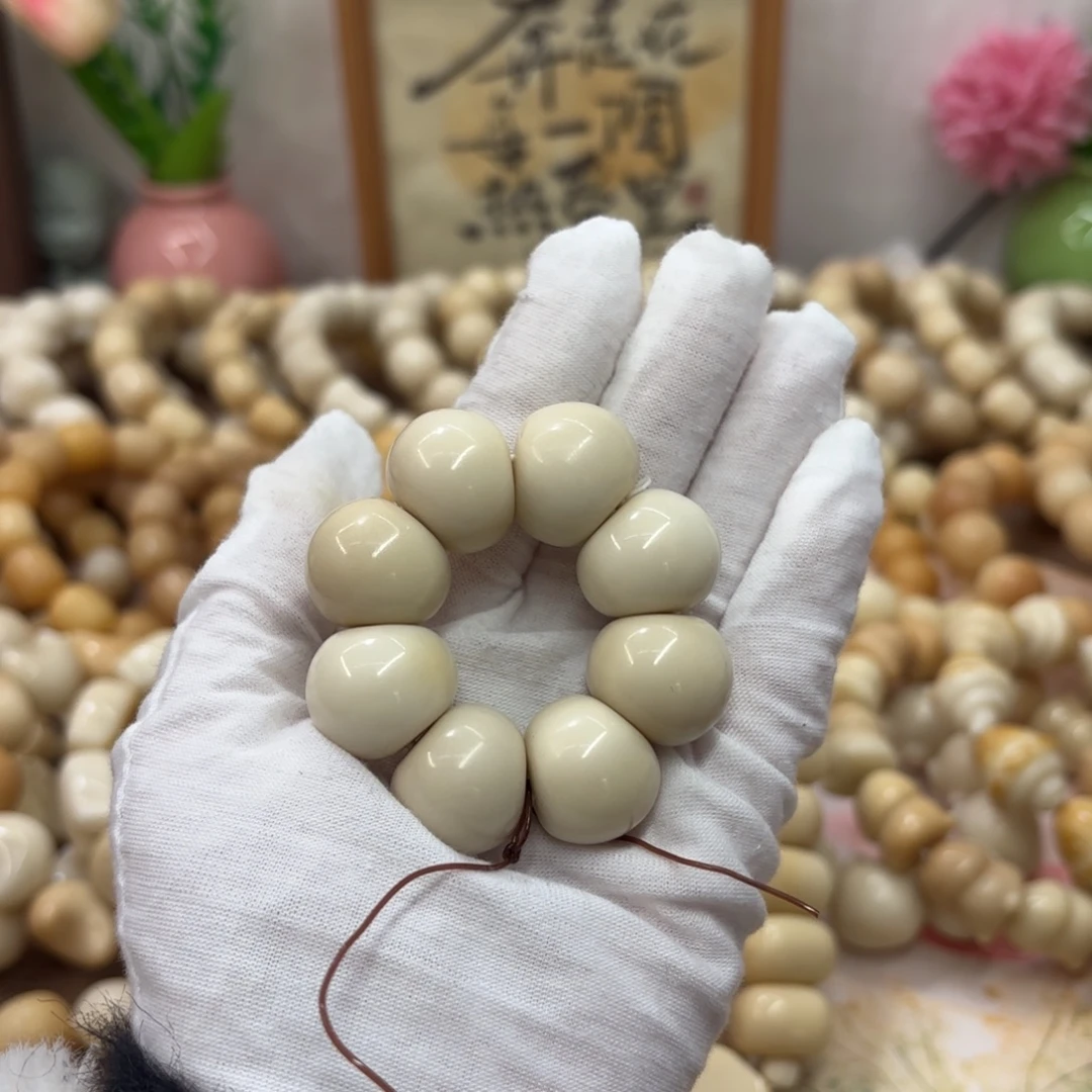 吊坠菩提根/象牙果20干磨微瑕牙果山竹282