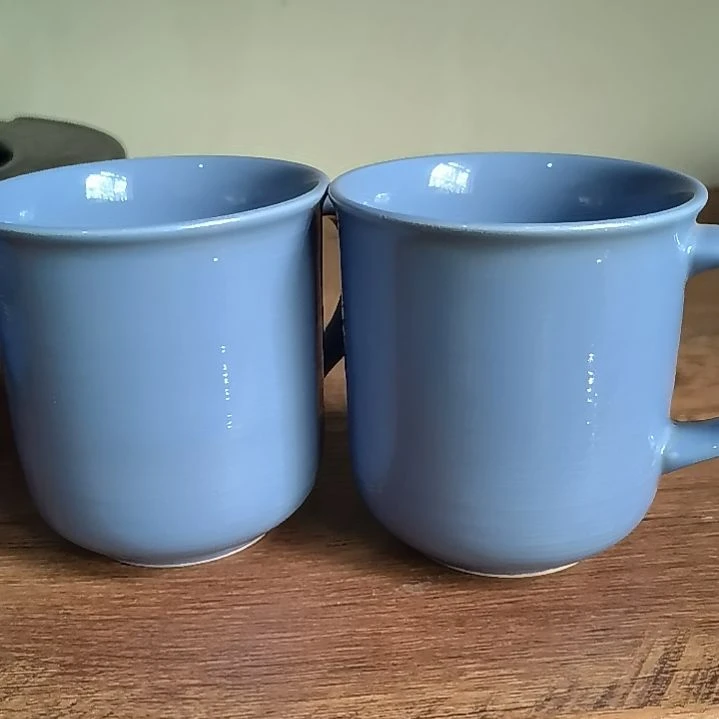 清***e搪瓷清野66666666666666