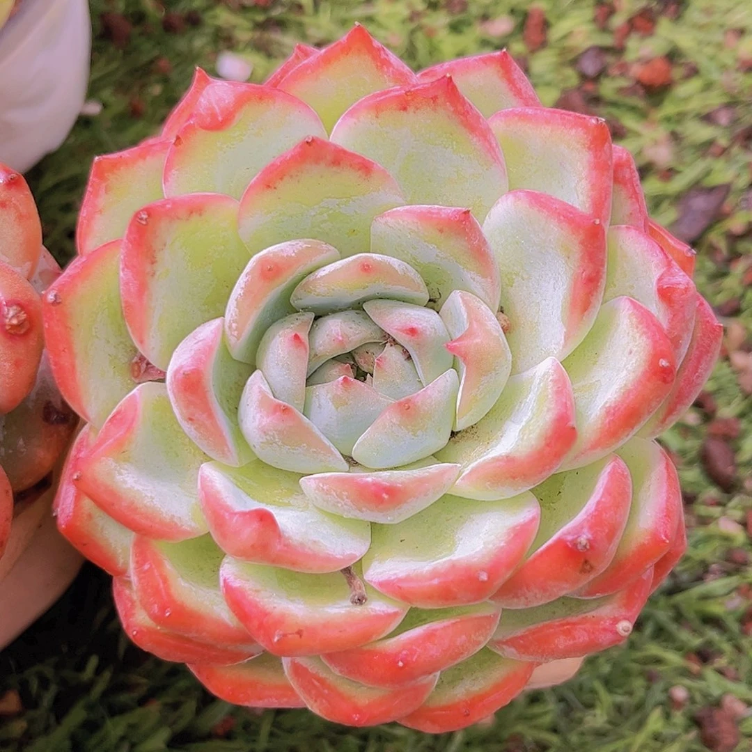 24号7888778888988888898