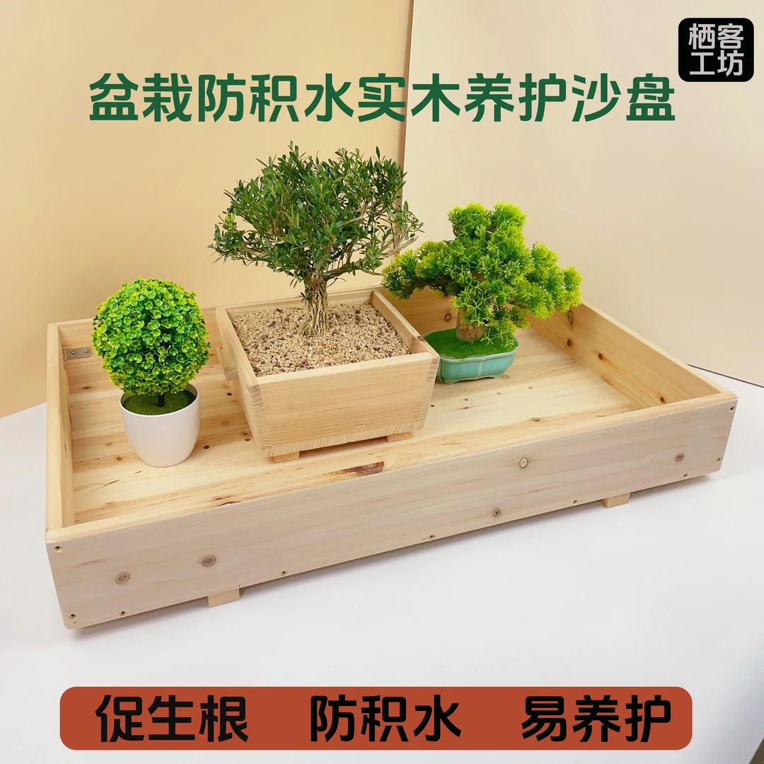 小盆景养护杜鹃松柏多肉栽培盆促生根防积水加厚加密保湿透气沙盘