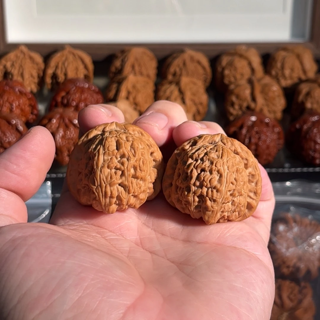 核桃手串/手链？39全品白狮子