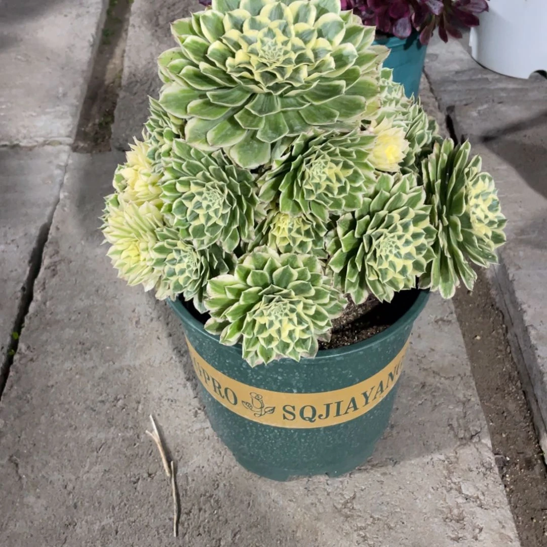 倩***宝漂亮漂亮漂亮漂亮漂亮