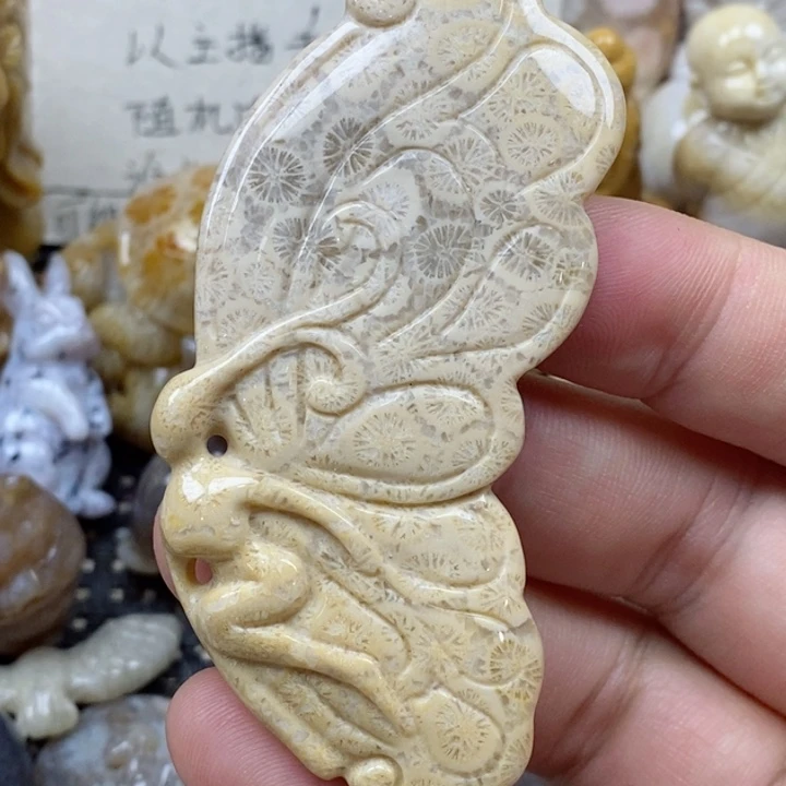 颈饰未镶嵌硅化珊瑚（珊瑚玉）
