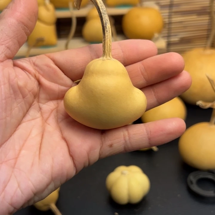 樱葫芦葫芦葫芦葫芦葫芦葫芦