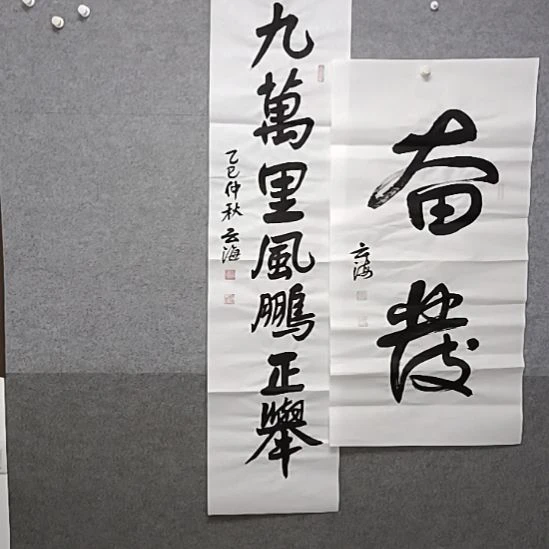 书法奋发九万里风鹏正举书