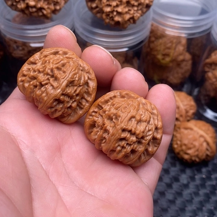 核桃文玩核桃白狮子