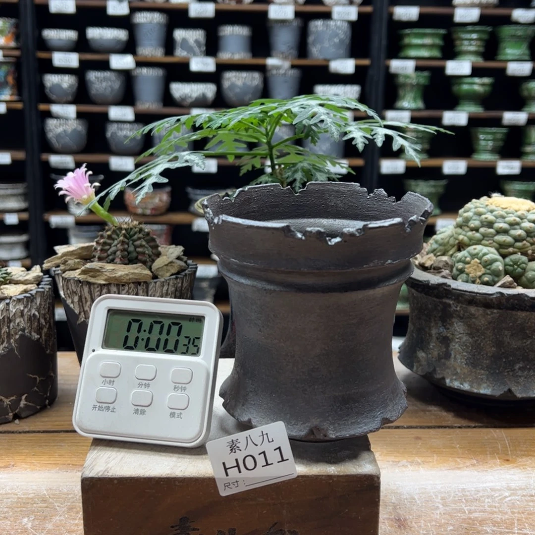 素八九陶瓷内口11.5高12.守***晶