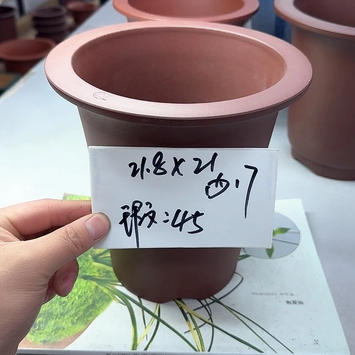 紫砂22222222222222