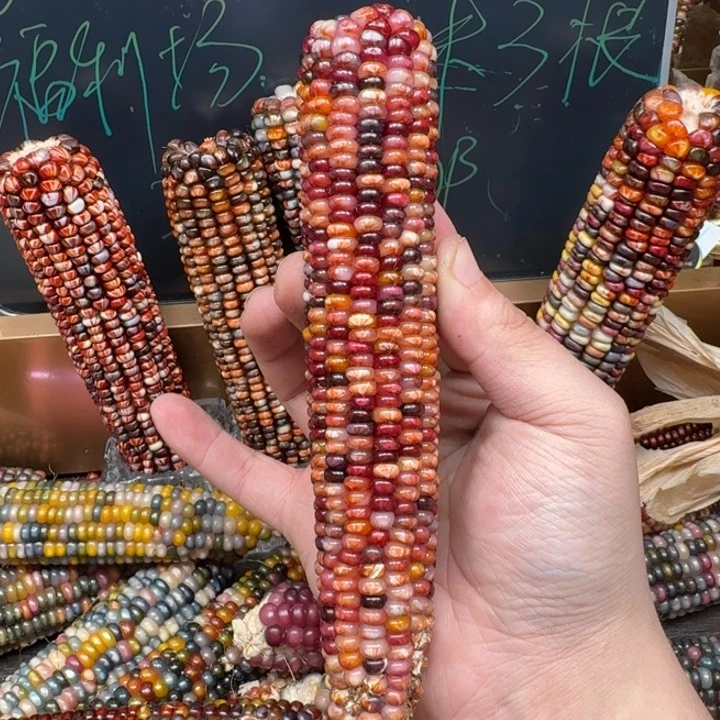 柏香籽/百香籽吊坠Ð****