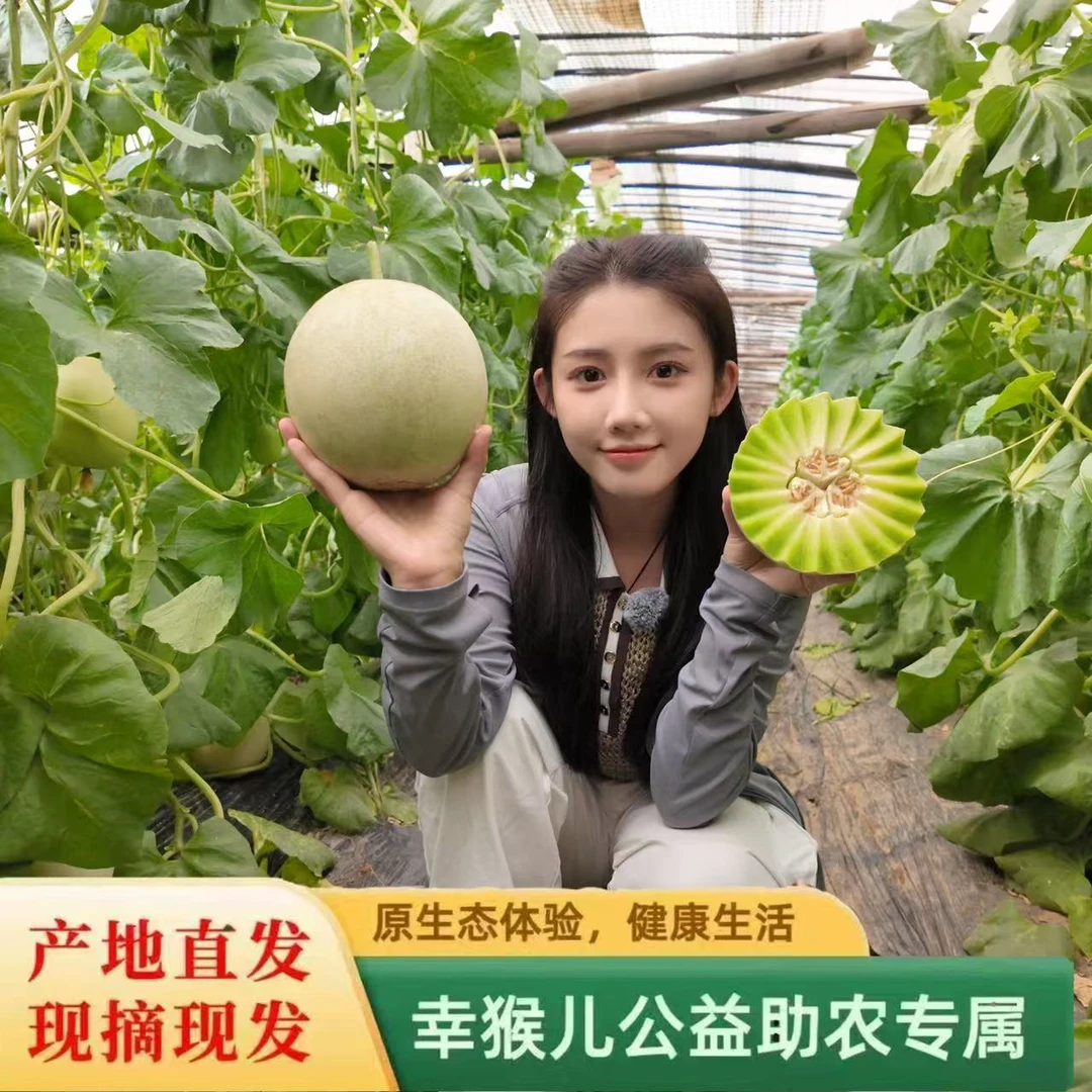 【公益助农】山东玉菇甜瓜/软糯香甜/放两天更好吃/4.5-8.5斤