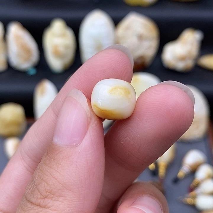 裸石琥珀未镶嵌11老邢b490