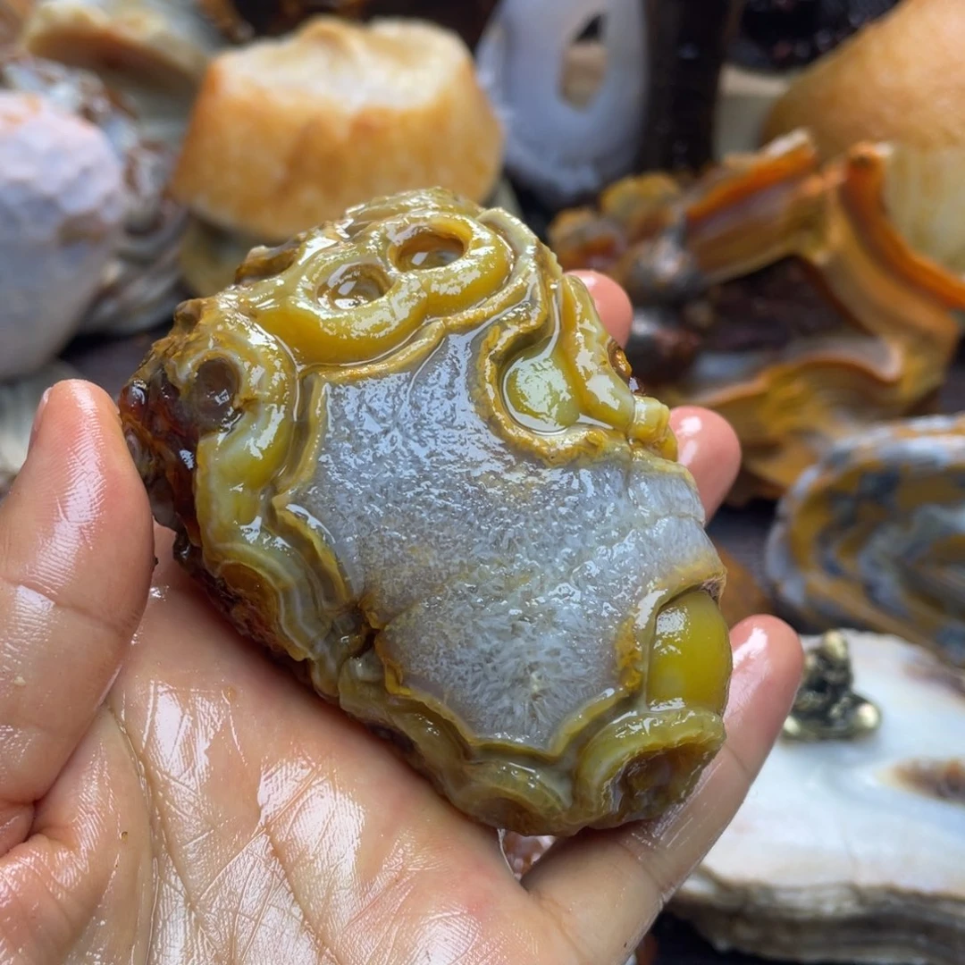 石材狄*诺阿拉善奇石摆件