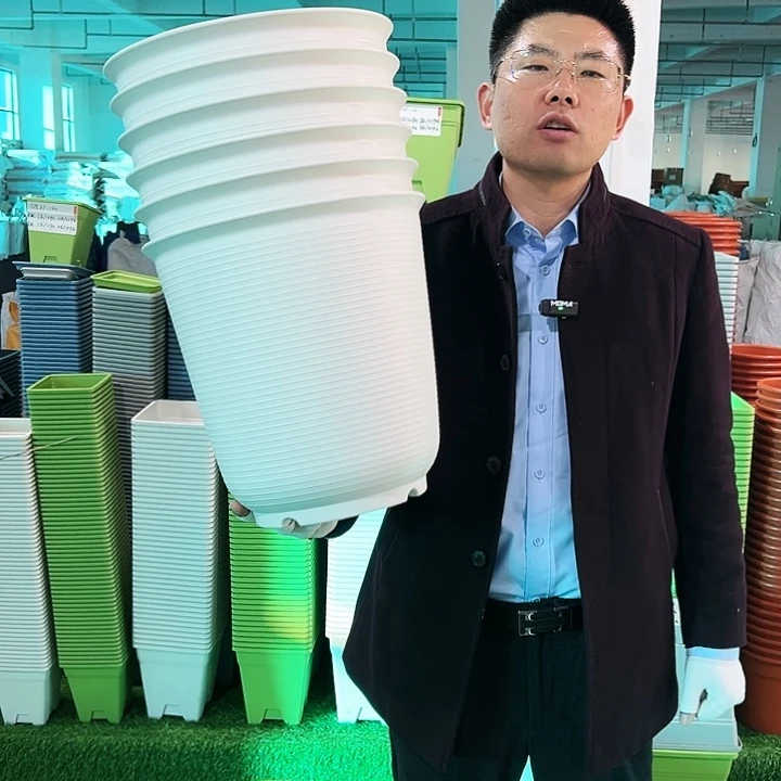 正品高陶口30高31白色3只无托