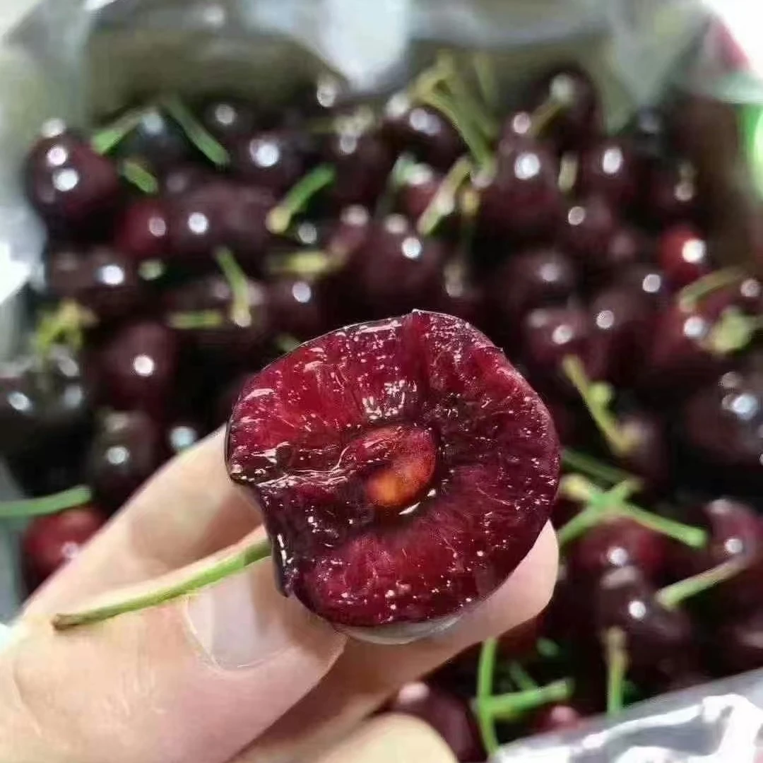车厘子JJJ 1斤装空运 脆甜 个别机械伤属于正常甜心山东省
