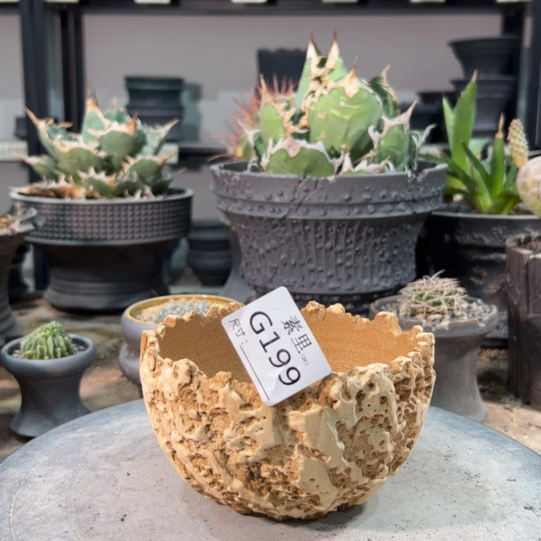 景德镇手工素里k****i内口12高8瑕疵