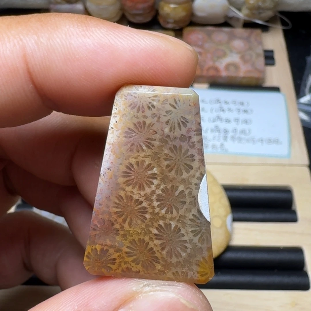 未镶嵌纯天然色有机玉石保真色硅化玉