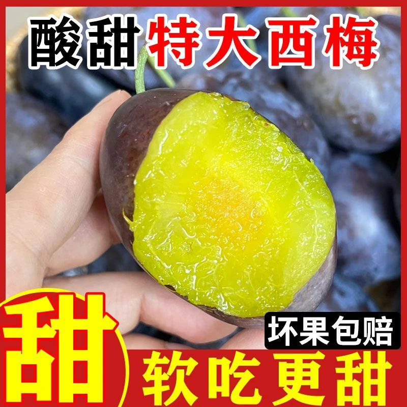 云南新鲜西梅现摘先发蓝蜜西梅孕妇水果3斤5斤整箱包邮