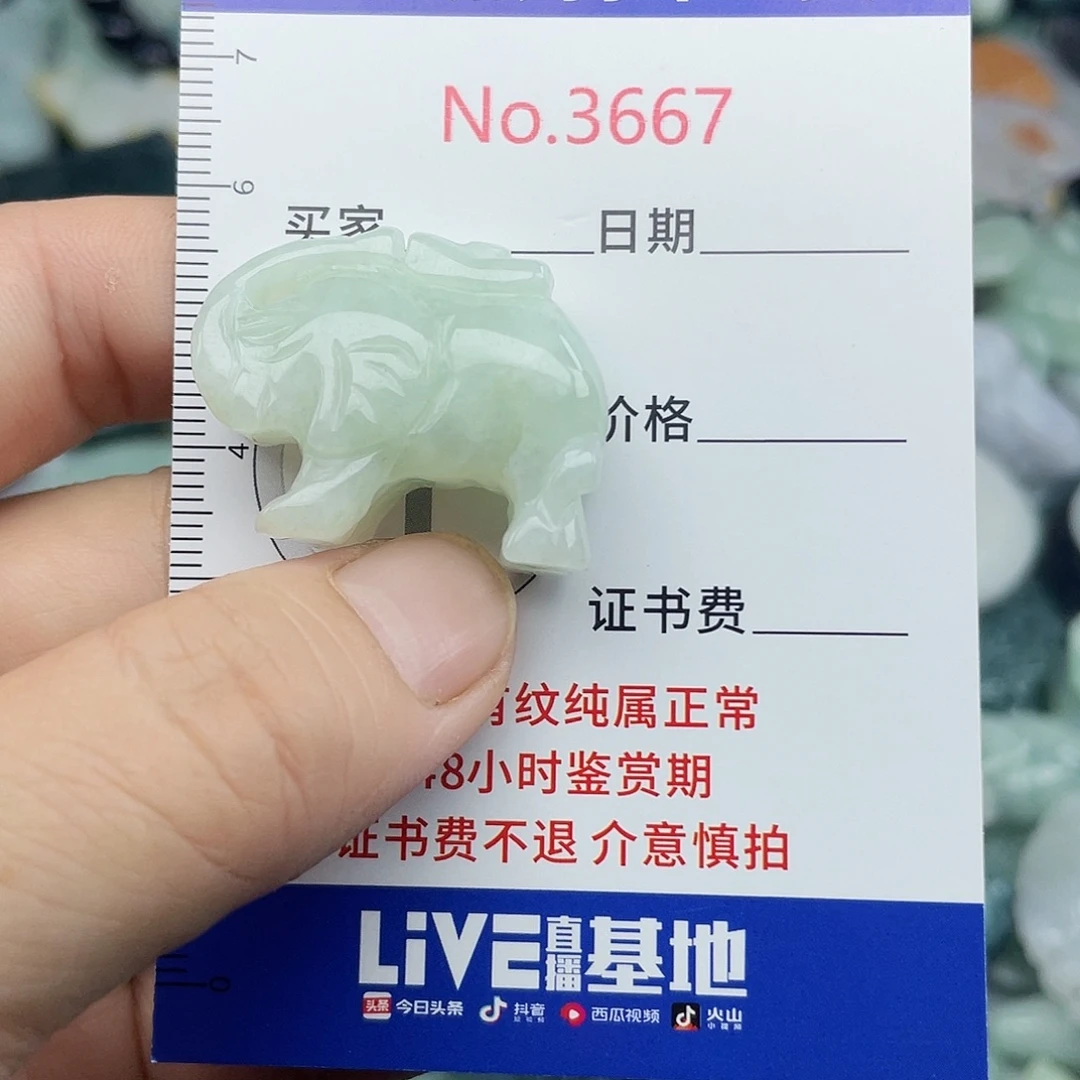 未镶嵌挂件翡翠3667