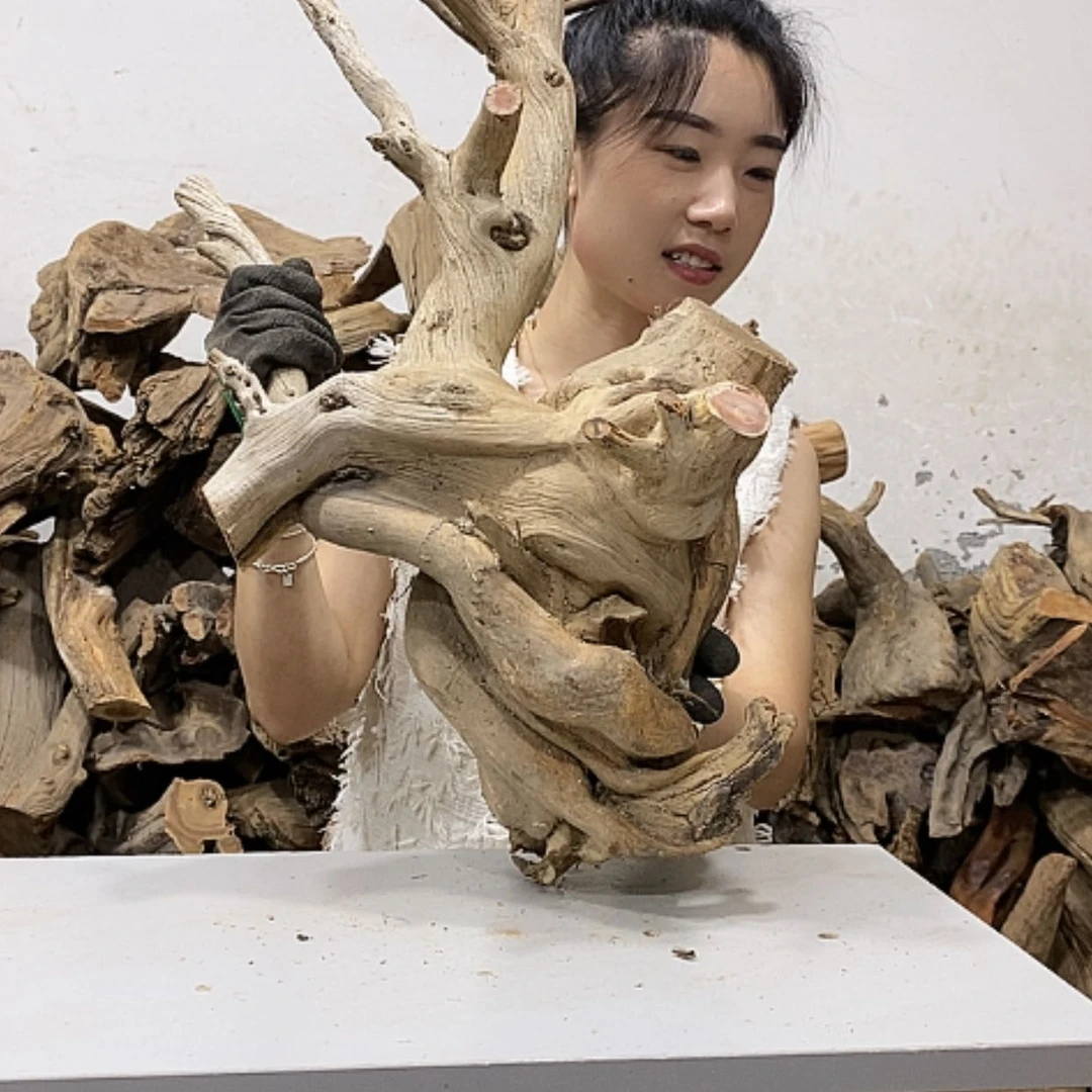 【闪购商品】柏木t****寺我们都是好孩子