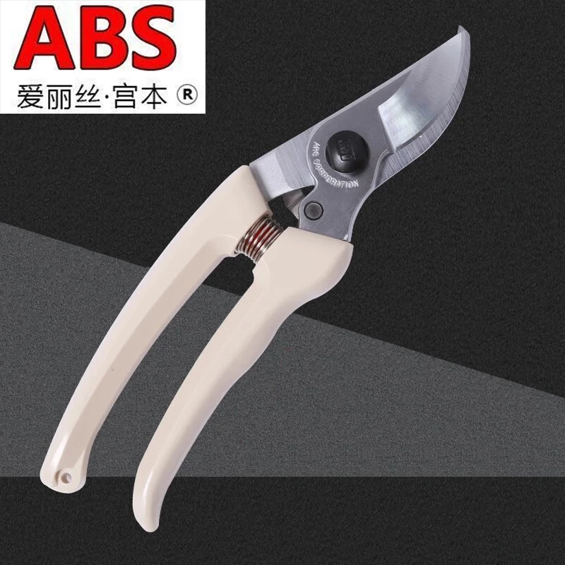 修枝专用剪刀可剪粗枝树枝枝条用于果树花卉绿化园艺修剪省力省力