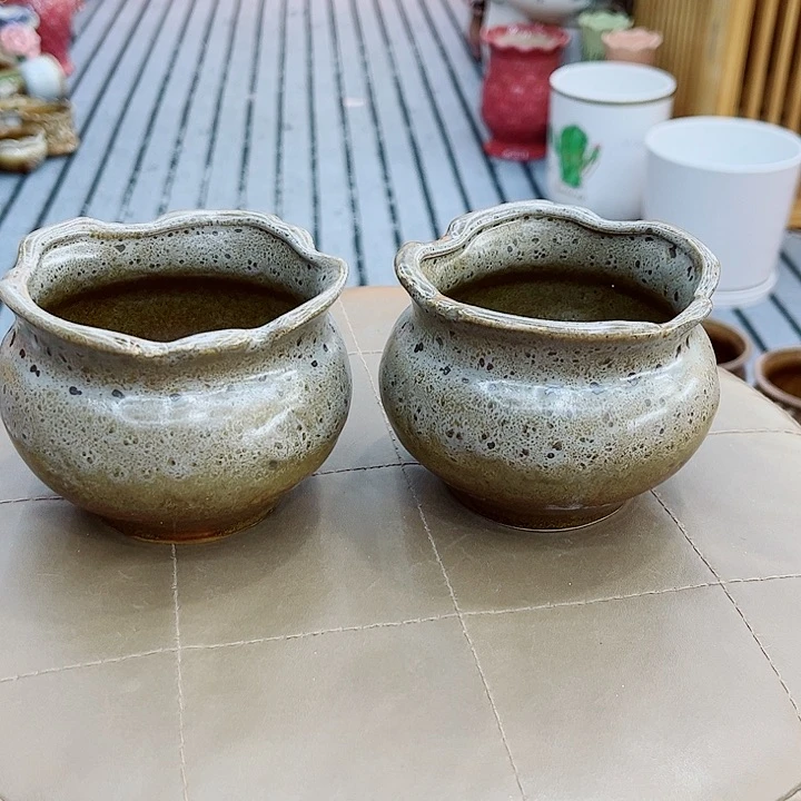 福利花盆9.99包邮