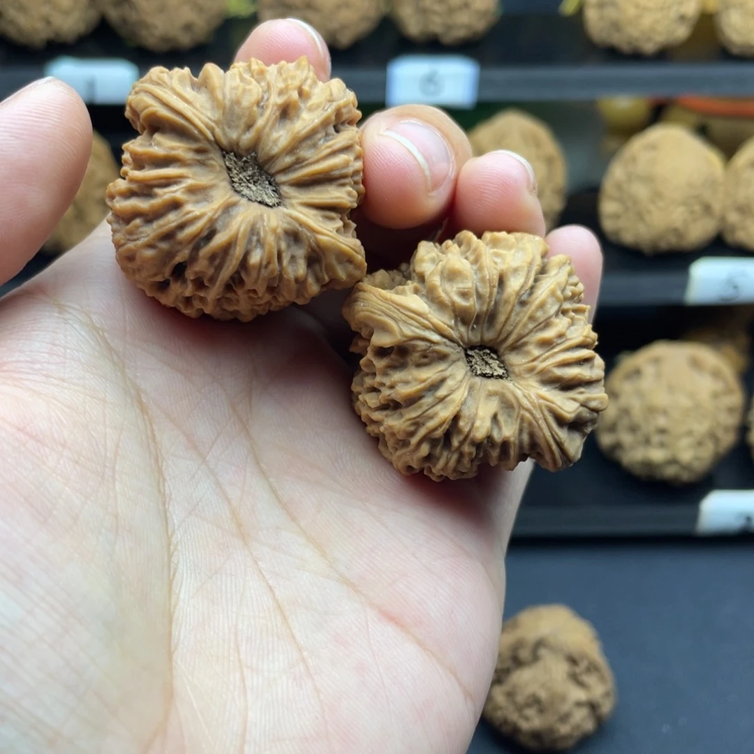 文玩核桃吊坠b**n涿鹿南疆