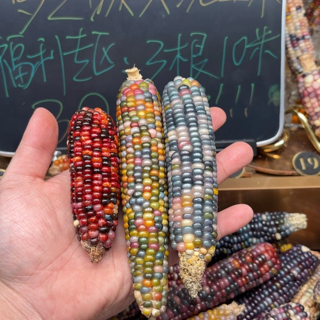 柏香籽/百香籽吊坠"*