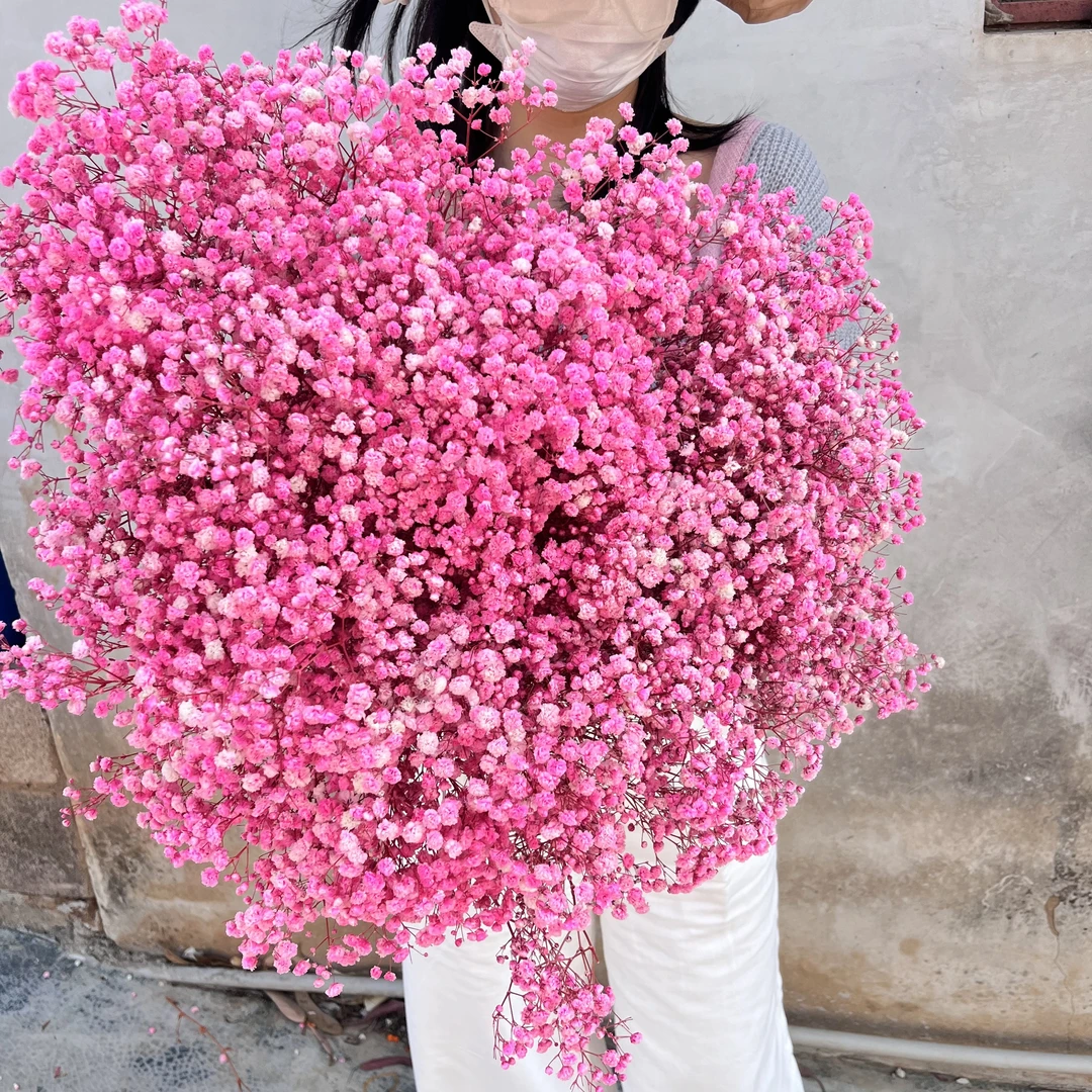 厂家批发永生花满天星紫色干花花束情人节礼物满天星永生花摆件