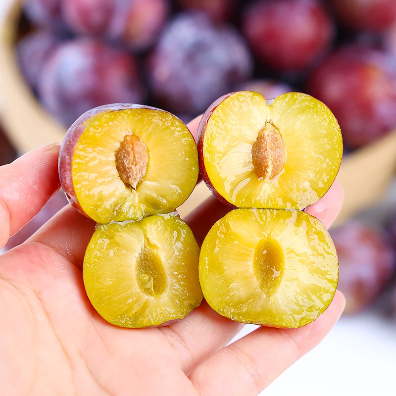 四川阿坝州汶川茂县脆红李脱骨李子脆甜多汁爽口肉厚爽脆现摘